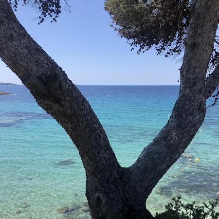 Les Baux 2 Sanary Sur Mer エクステリア 写真