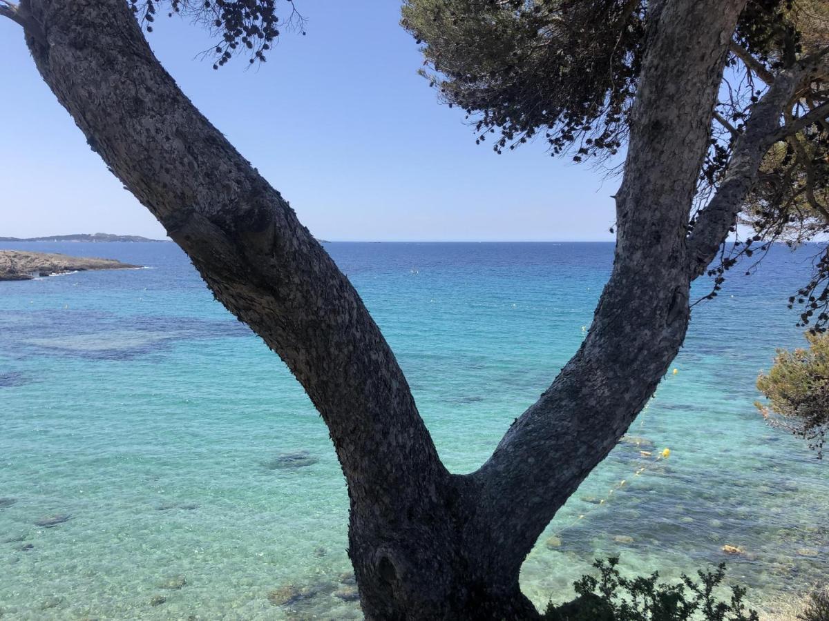 Les Baux 2 Sanary Sur Mer エクステリア 写真